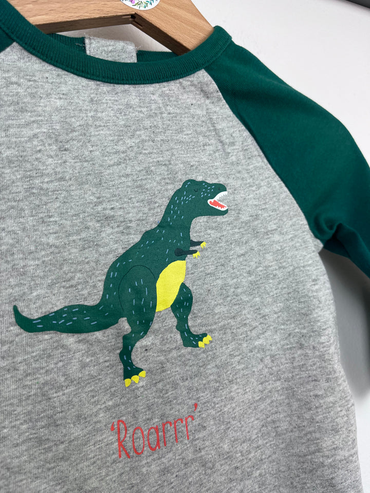 Baby Boden Long Sleeve Dino Top 3-6 Months-Tops-Second Snuggle Preloved