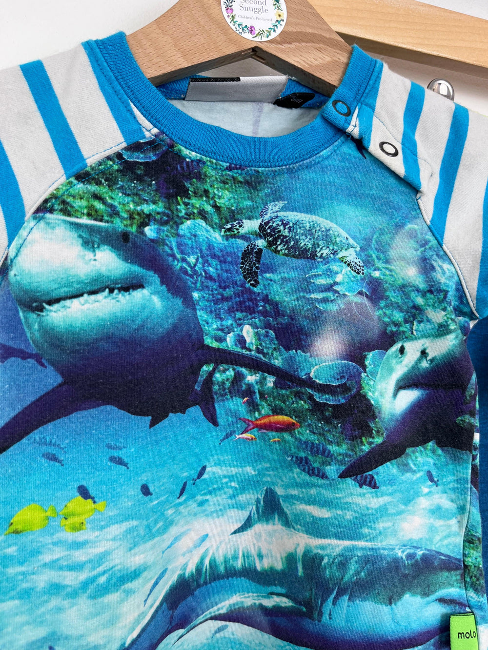 Molo Shark Outfit 3-6 Months-Sets-Second Snuggle Preloved