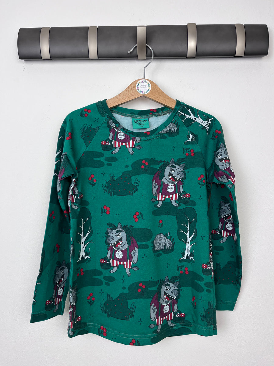 Raspberry Republic Trolls Long Sleeve Top 104/110 (3-5 Years)-Tops-Second Snuggle Preloved