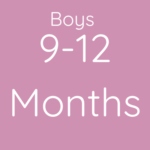 Boys 0-12 months second hand clothing