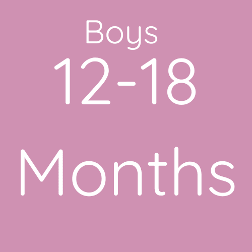Boys 12-18 months second hand kids clothing