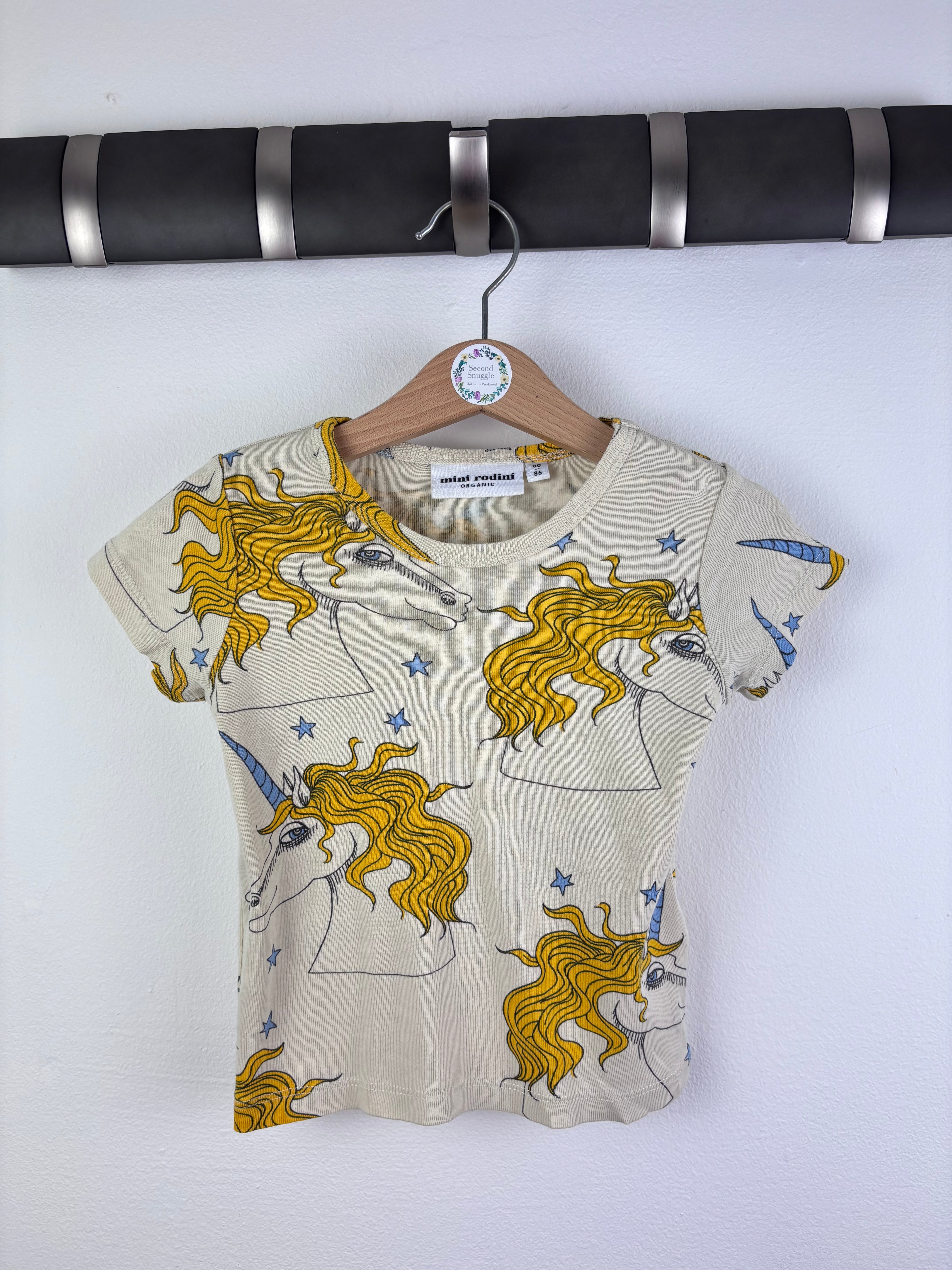 Newest Items In