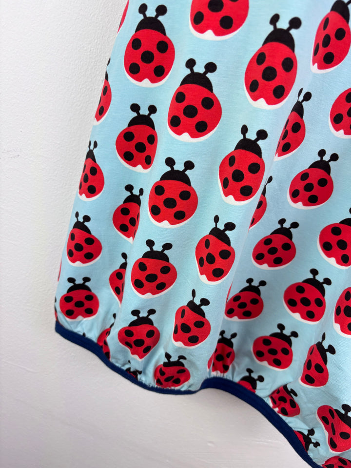 Maxomorra Ladybird Print Dress 5-6 Years-Dresses-Second Snuggle Preloved