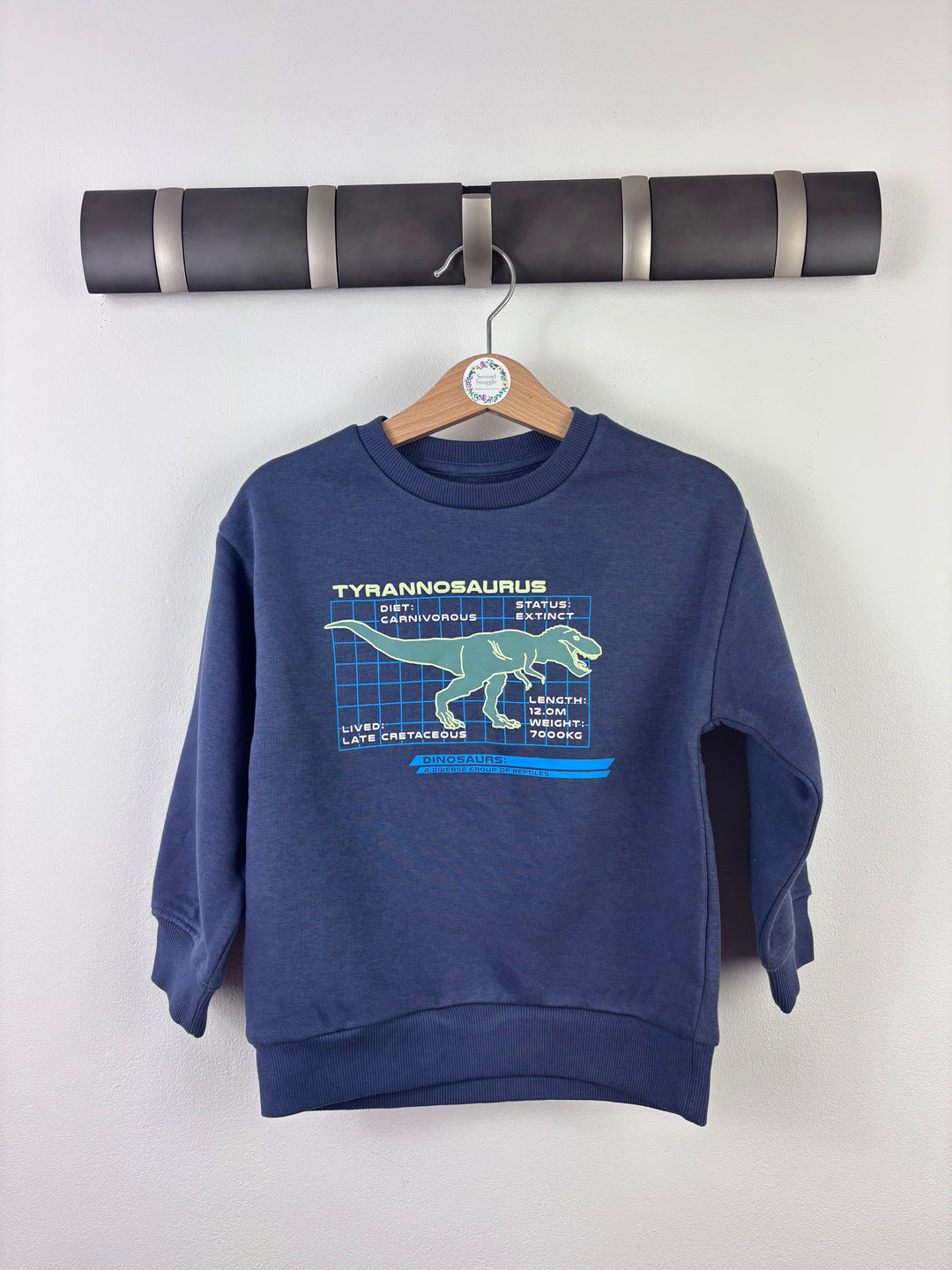 M&S Blue Dinosaur Sweatshirt-Jumpers-Second Snuggle Preloved