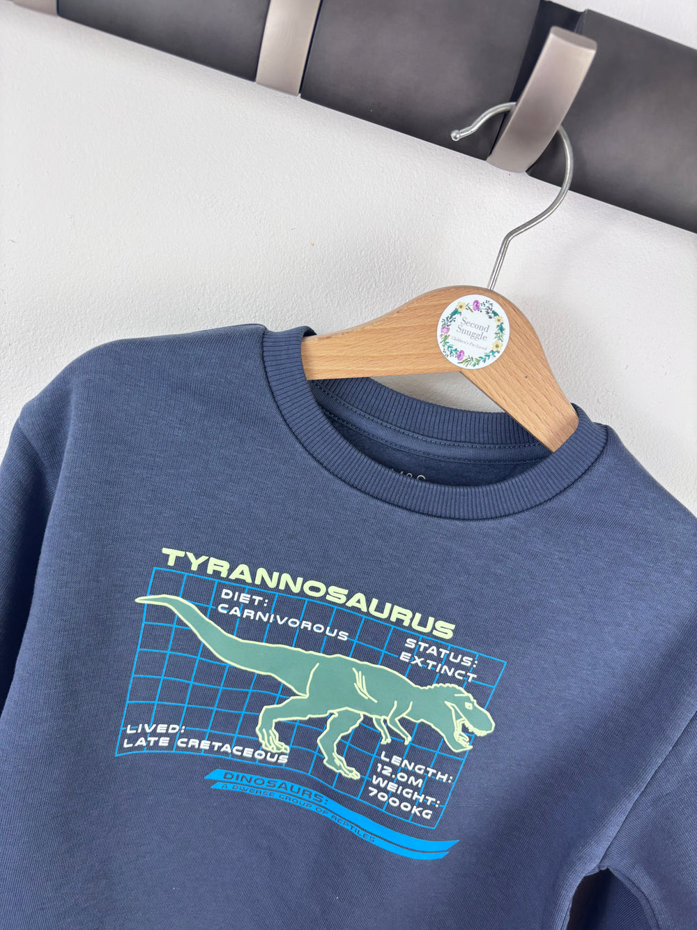 M&S Blue Dinosaur Sweatshirt-Jumpers-Second Snuggle Preloved
