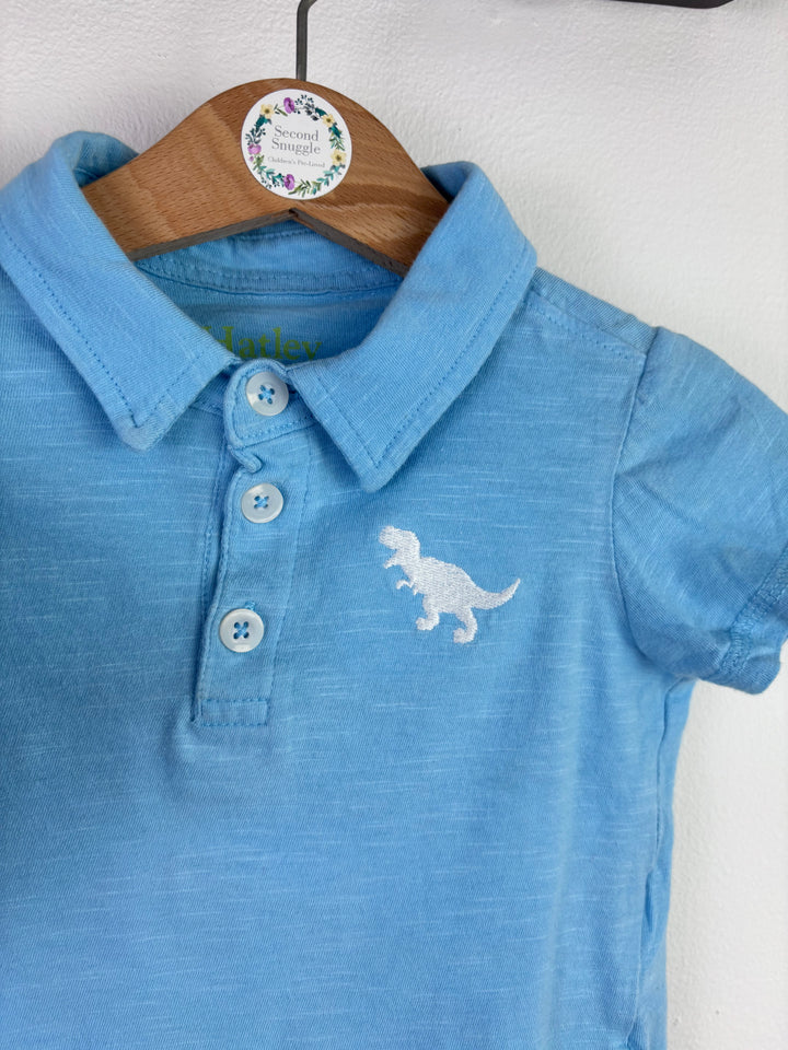 Hatley Blue Dinosaur Polo Top & Lucy & Sam Stripe Kite Top 6-9 Months-Tops-Second Snuggle Preloved