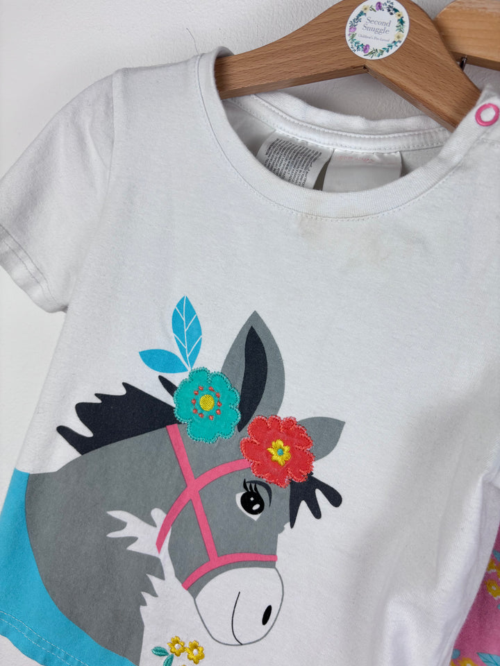 Blade And Rose Horse Set 2-3 Years
