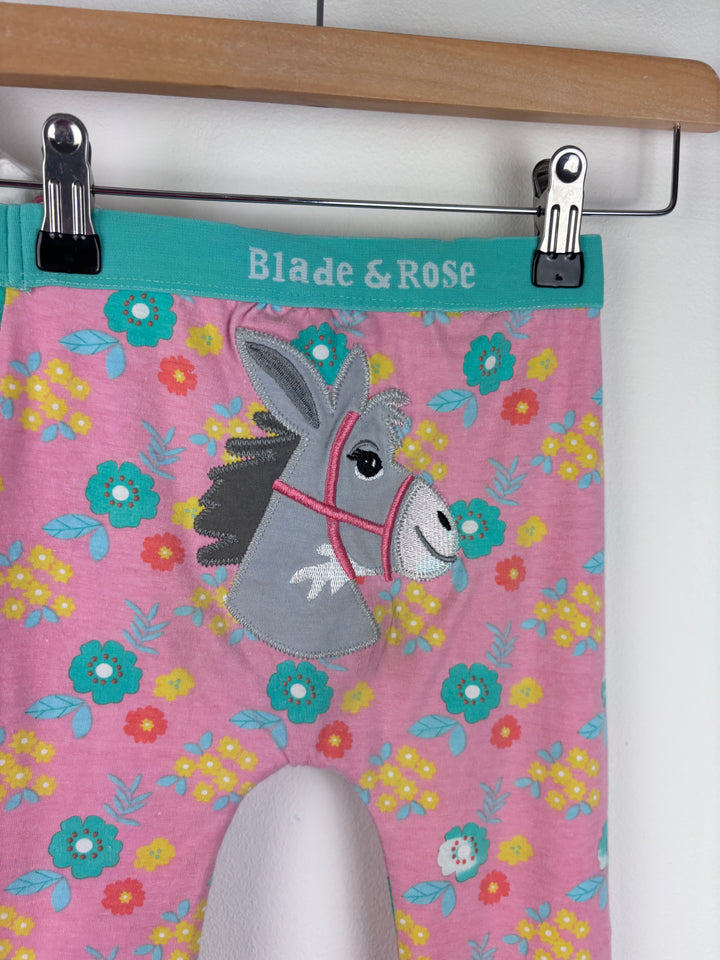 Blade And Rose Horse Set 2-3 Years