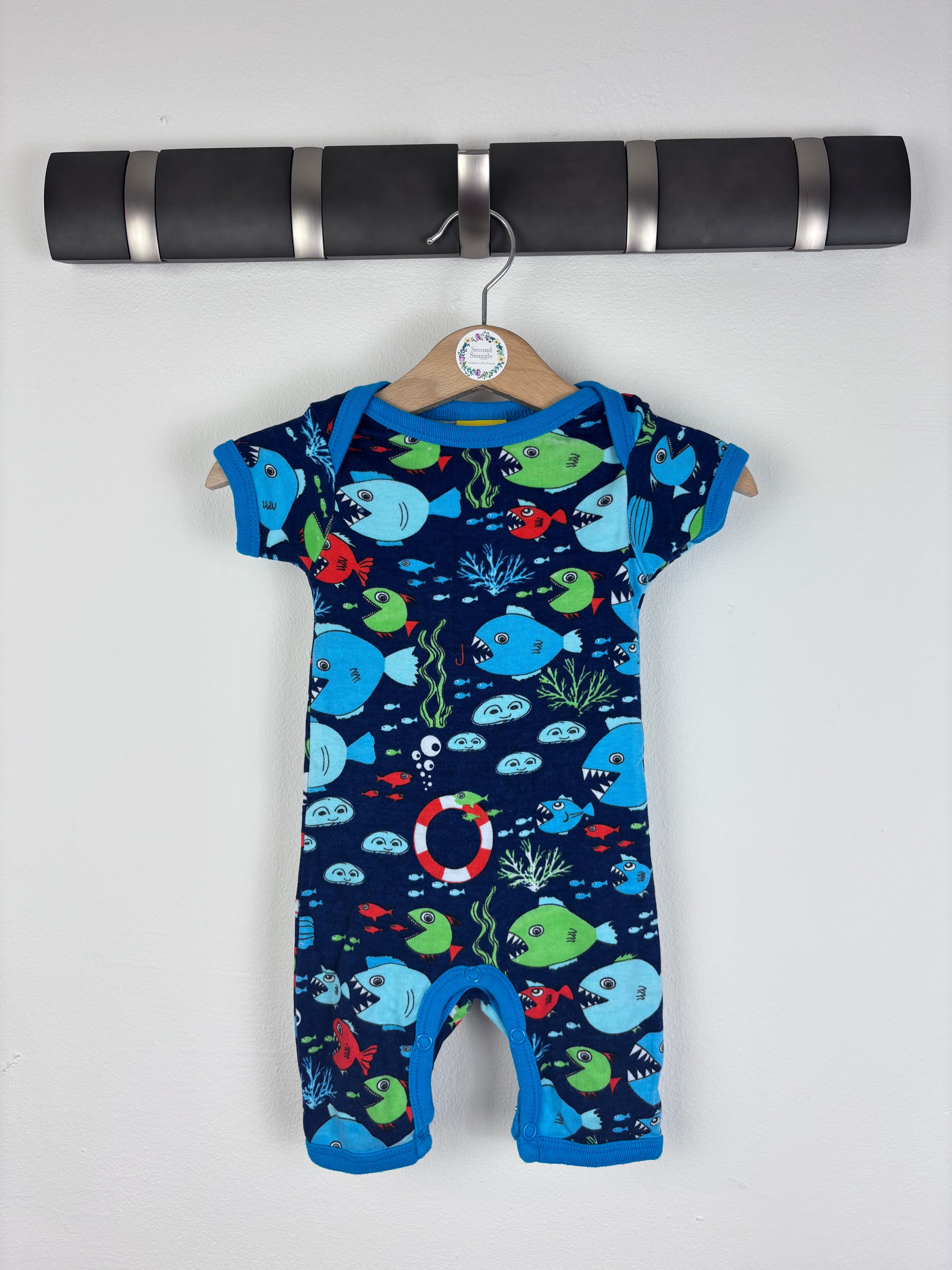 Newest Products