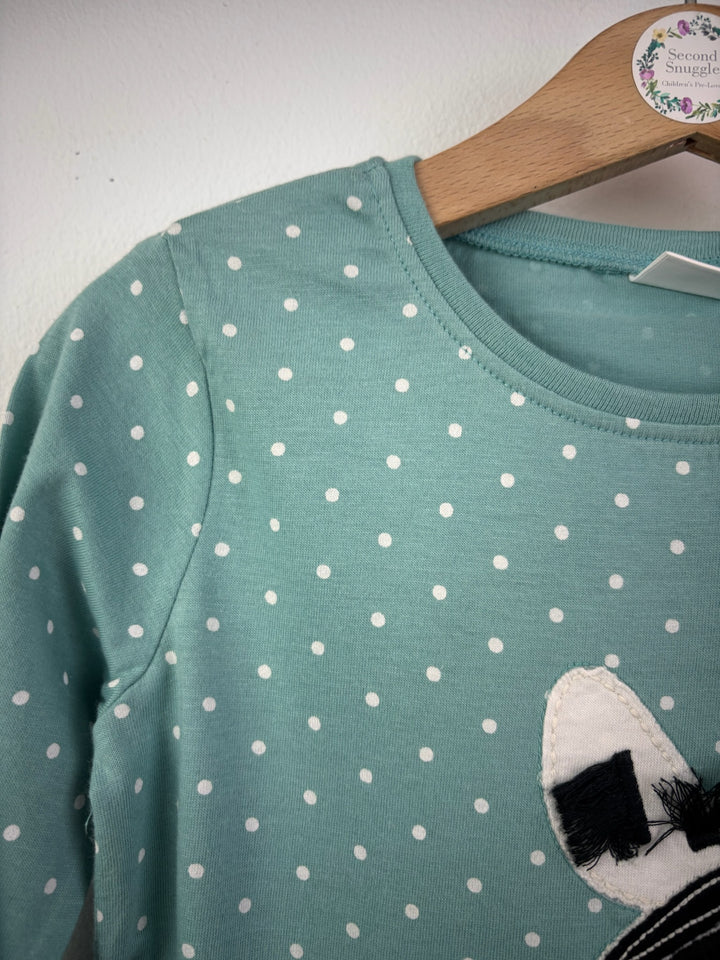 Next Green Zebra Appliqué Long Sleeve Top 2-3 Years