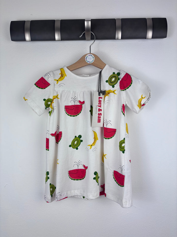 Lucy & Sam Dress 9-12 Months-Dresses-Second Snuggle Preloved