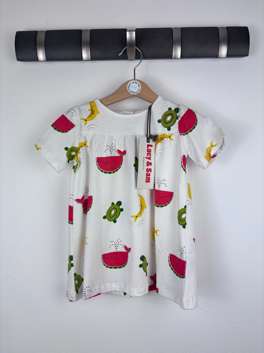 Lucy & Sam Dress 9-12 Months-Dresses-Second Snuggle Preloved
