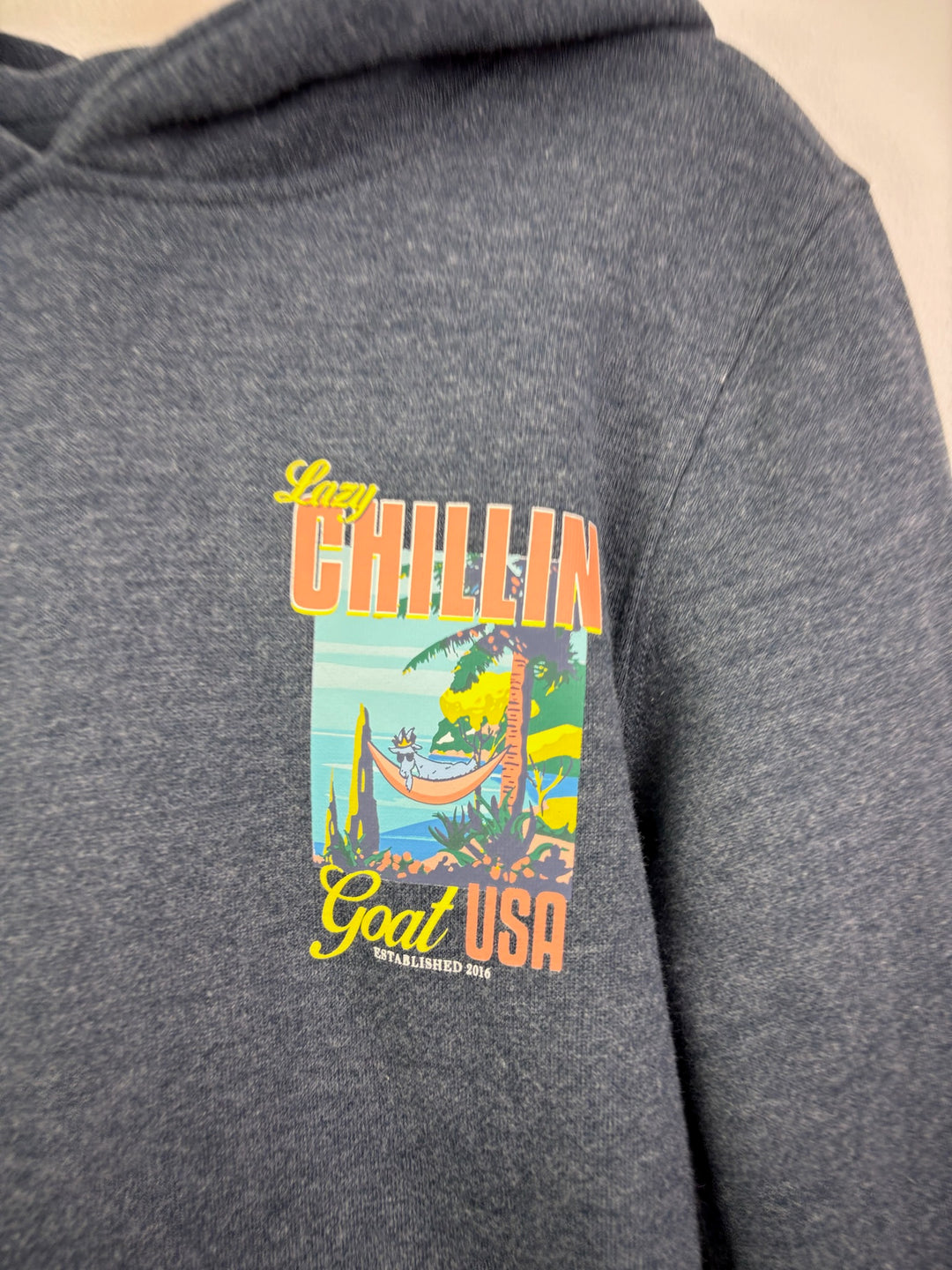 GOAT USA Grey Lazy Chillin Hoodie 8-10 Years-Hoodies-Second Snuggle Preloved