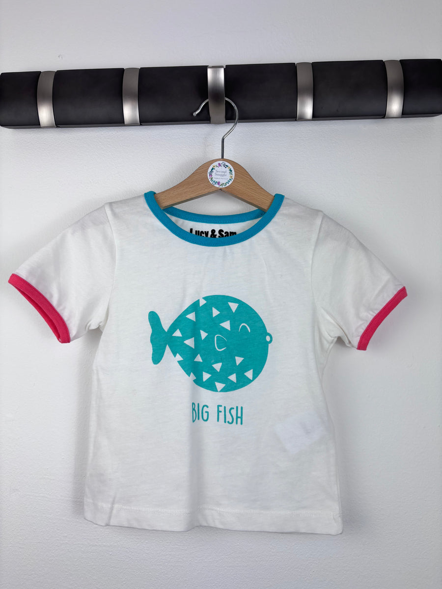 Lucy & Sam Big Fish, Little Fish T-Shirt 12-18 Months-Tops-Second Snuggle Preloved