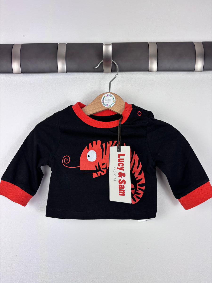 Lucy & Sam Chameleon Top 3-6 Months-Tops-Second Snuggle Preloved