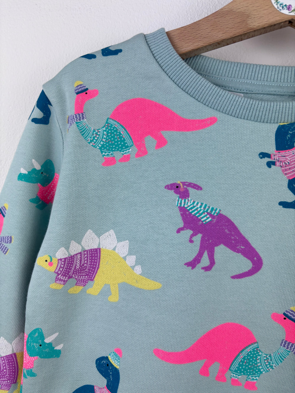 Ex M&S Blue Dinosaur Sweatshirt Various Sizes-Jumpers-Second Snuggle Preloved