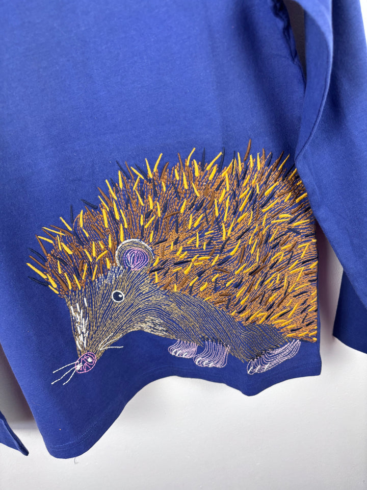Mini Boden Blue Hedgehog Top 11-12 Years-Tops-Second Snuggle Preloved