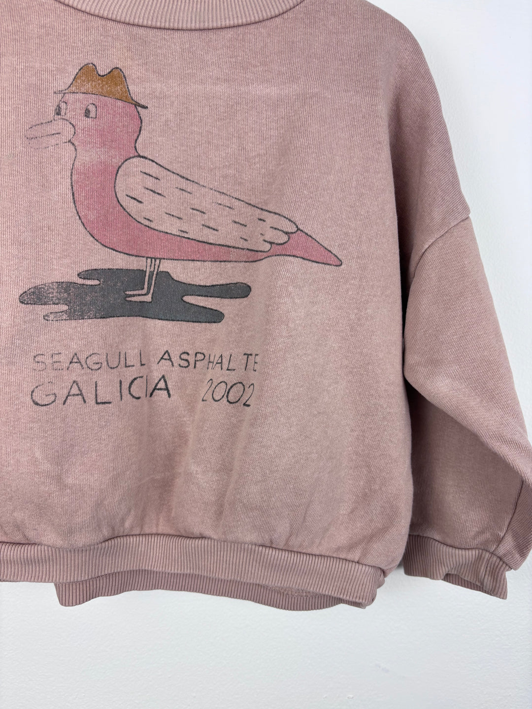 Bobo Choses Bird Print Sweatshirt 2-3 Years-Jumpers-Second Snuggle Preloved