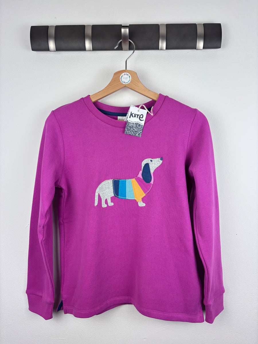 Kite Rainbow Sausage Dog Long Sleeve Top Pink 10-11 Years-Jumpers-Second Snuggle Preloved