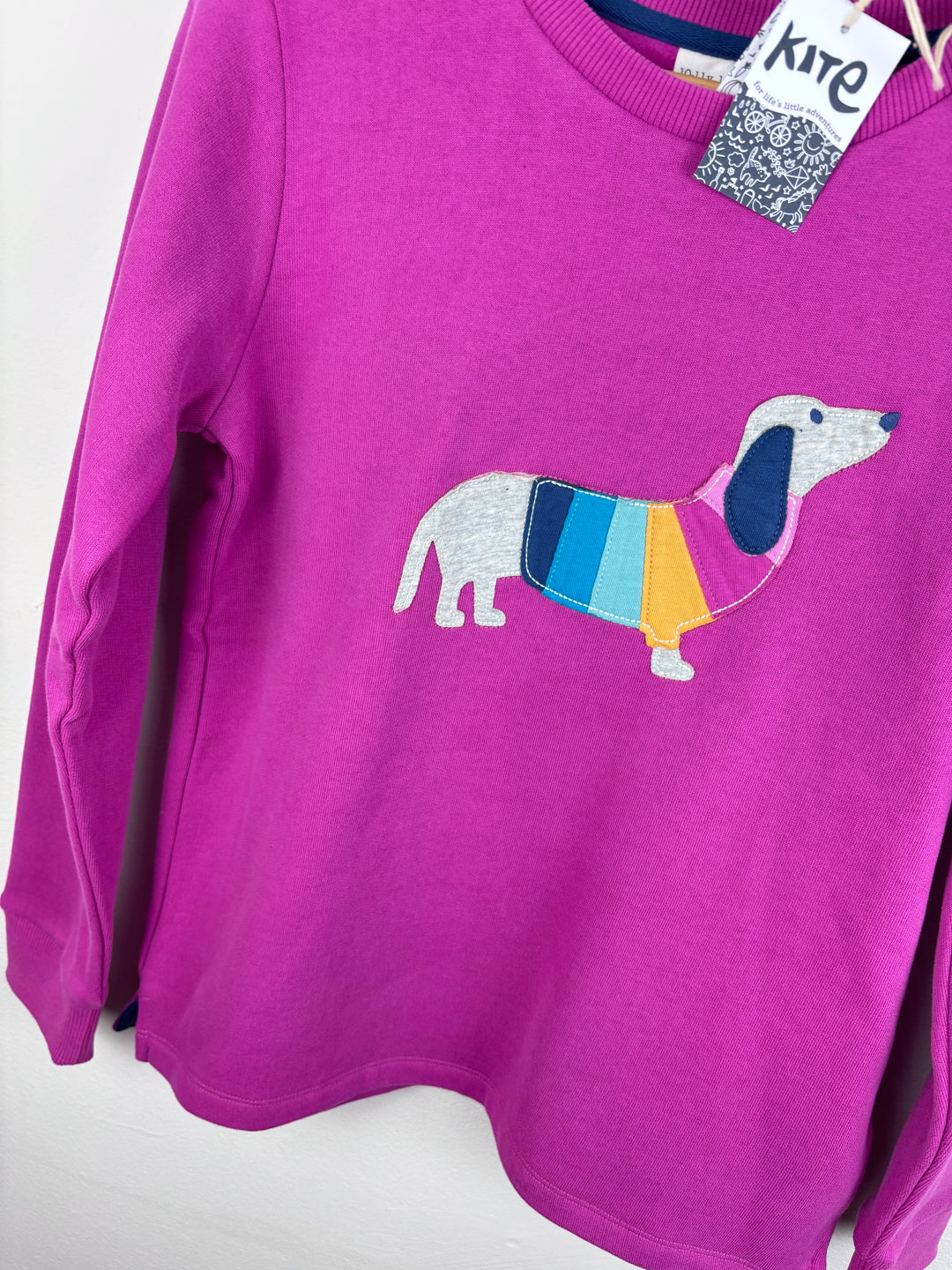 Kite Rainbow Sausage Dog Long Sleeve Top Pink 10-11 Years-Jumpers-Second Snuggle Preloved