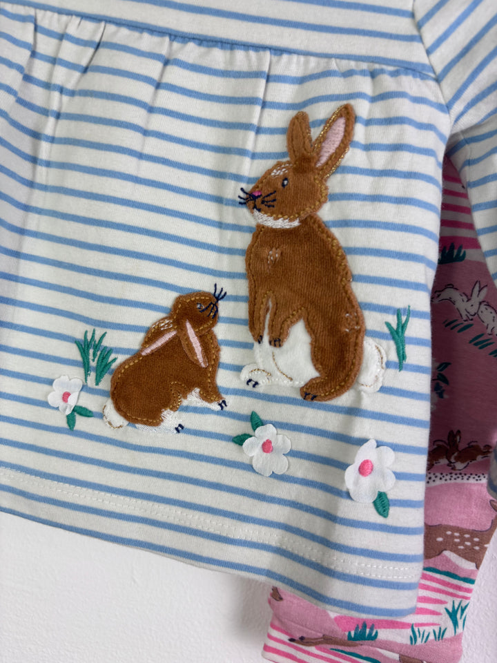Baby Boden Blue Stripe Bunny Top And Pink Woodland Leggings Set 3-6 Months-Sets-Second Snuggle Preloved