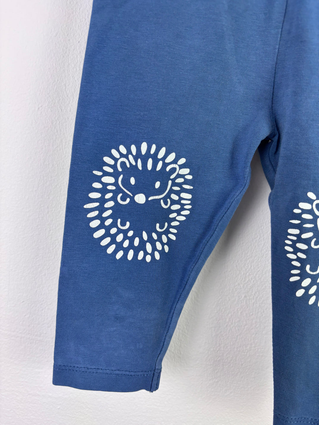 Kite Blue Hedgehog Print Leggings 6–9 Months-Leggings-Second Snuggle Preloved