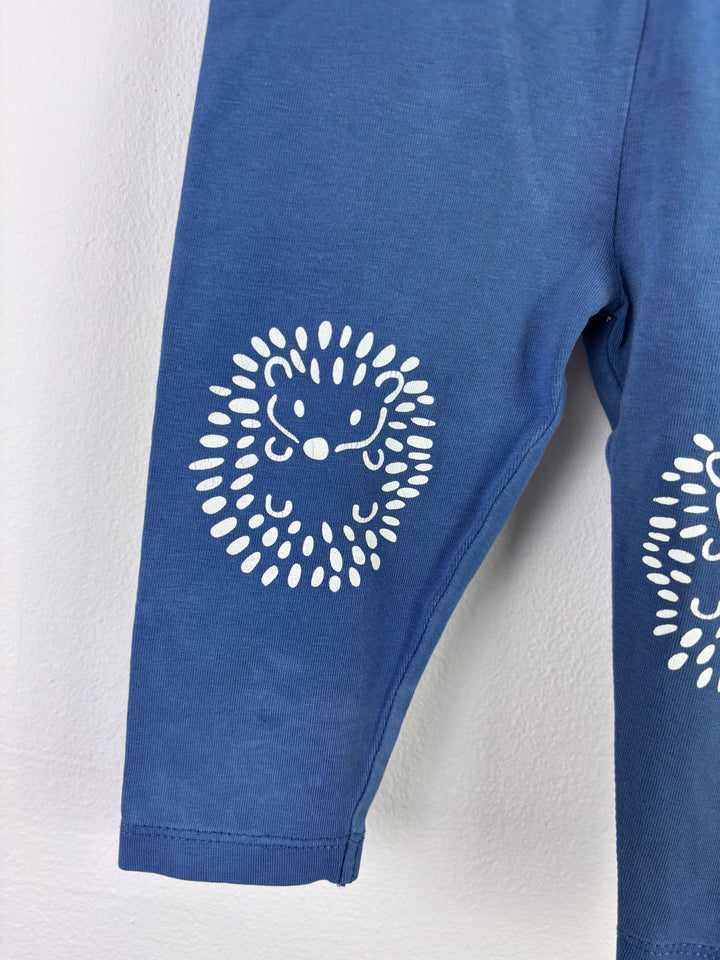 Kite Blue Hedgehog Print Leggings 6–9 Months-Leggings-Second Snuggle Preloved