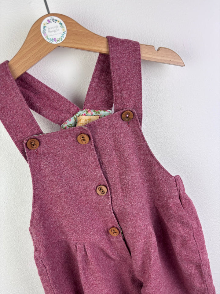 What Mother Made Dungarees 1–2 Years-Dungarees-Second Snuggle Preloved