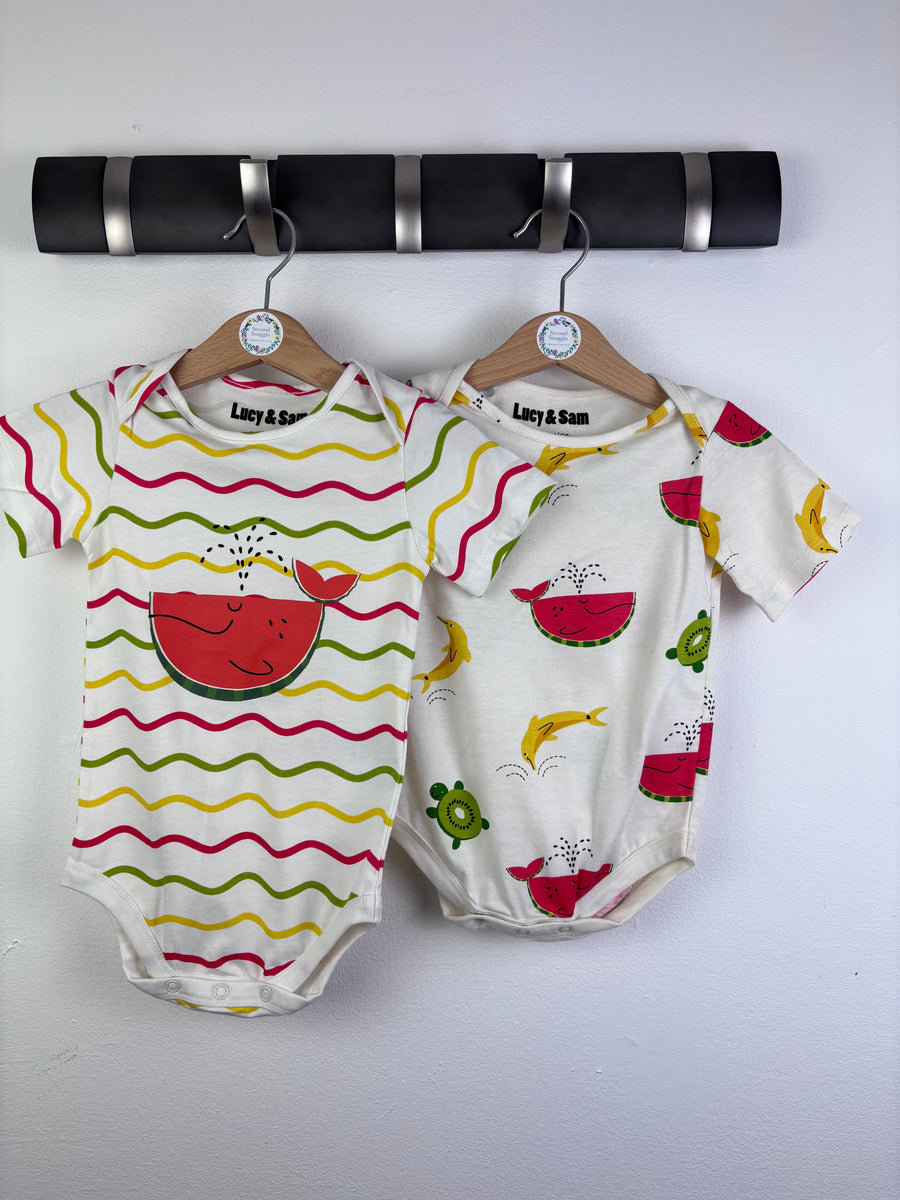 Lucy & Sam Whale Print Bodysuit Set 9-12 Months-Vests-Second Snuggle Preloved