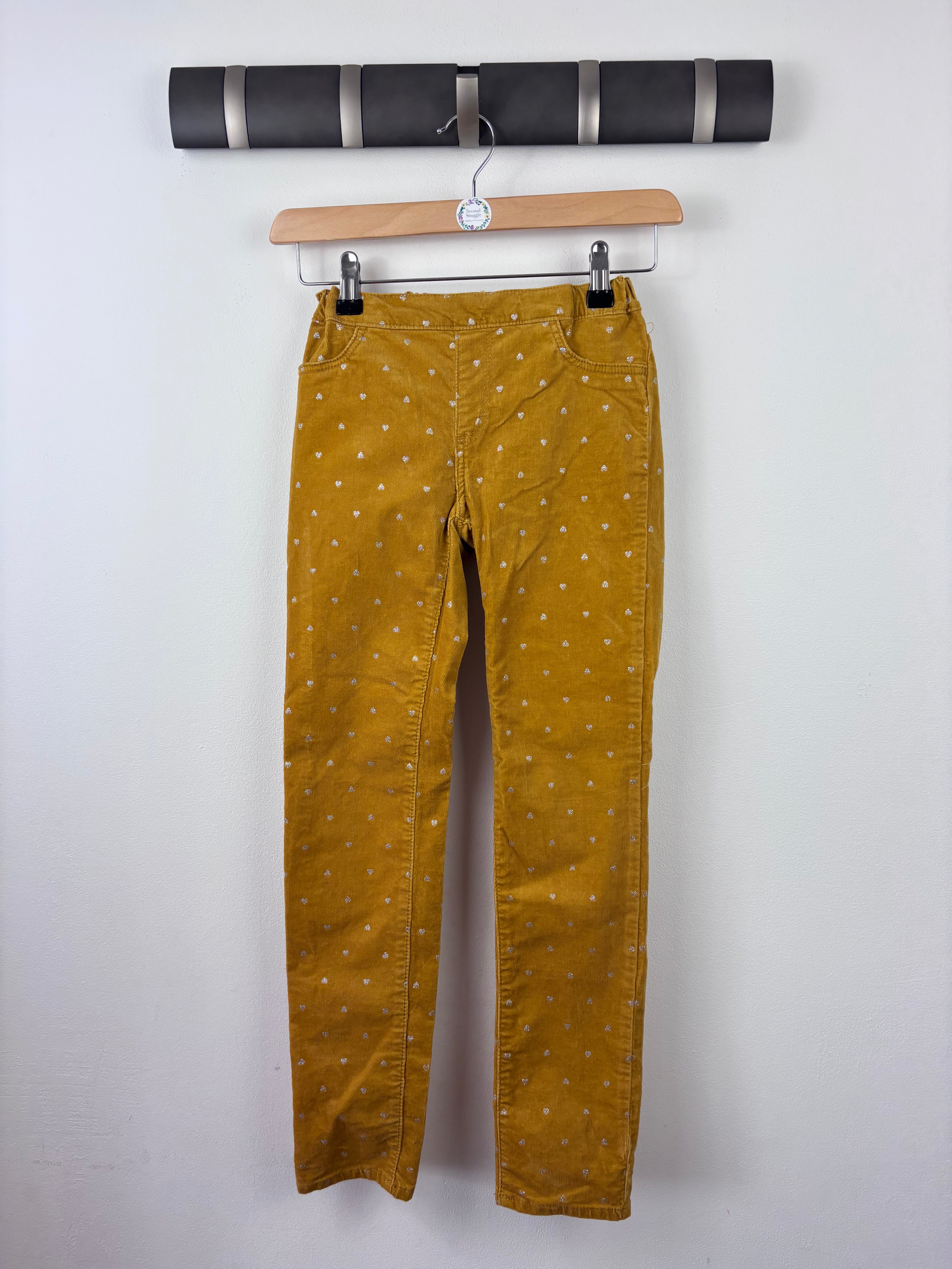 Newest Products