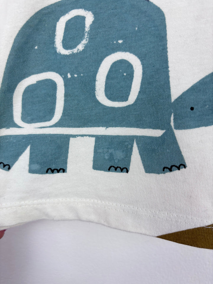Next Animals Top 9-12 Months-Tops-Second Snuggle Preloved