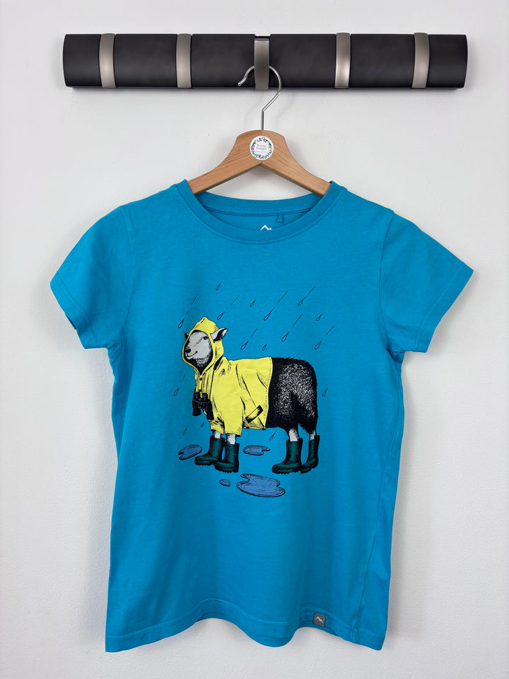 Peter Storm Blue Rain Sheep Tee 13 Years-Tops-Second Snuggle Preloved