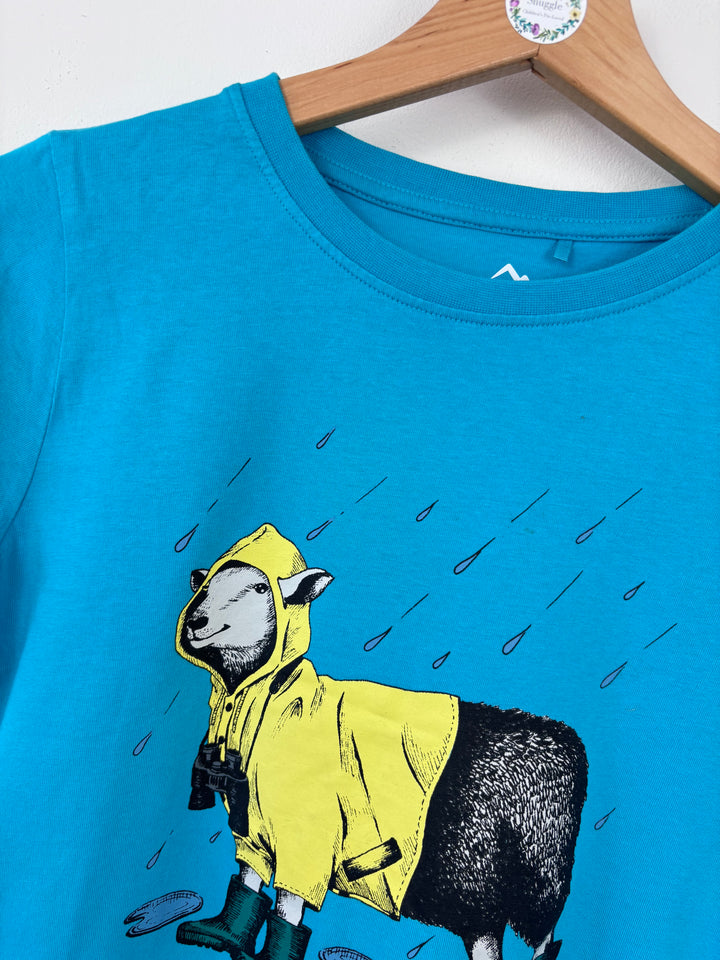 Peter Storm Blue Rain Sheep Tee 13 Years-Tops-Second Snuggle Preloved