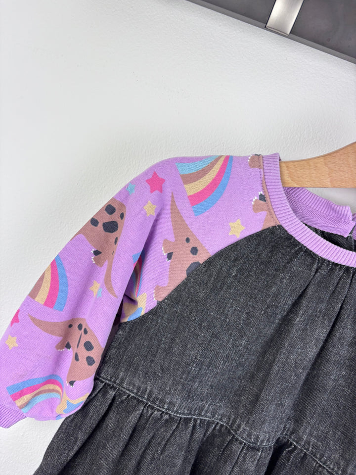Next Dinosaur Sleeve Dress 9-12 Months-Dresses-Second Snuggle Preloved